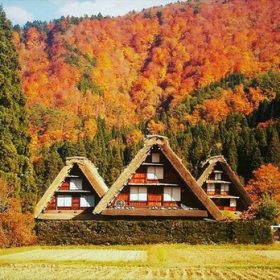 Làng cổ Shirakawago