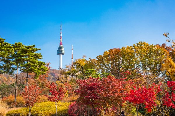 han-quoc-mua-thu-gyeongju-seoul