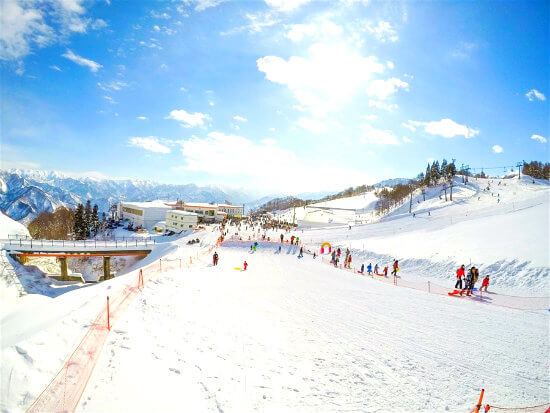 kyoto-ban-tinh-ca-mua-dong-cua-nhat-ban-25-5-2018-16