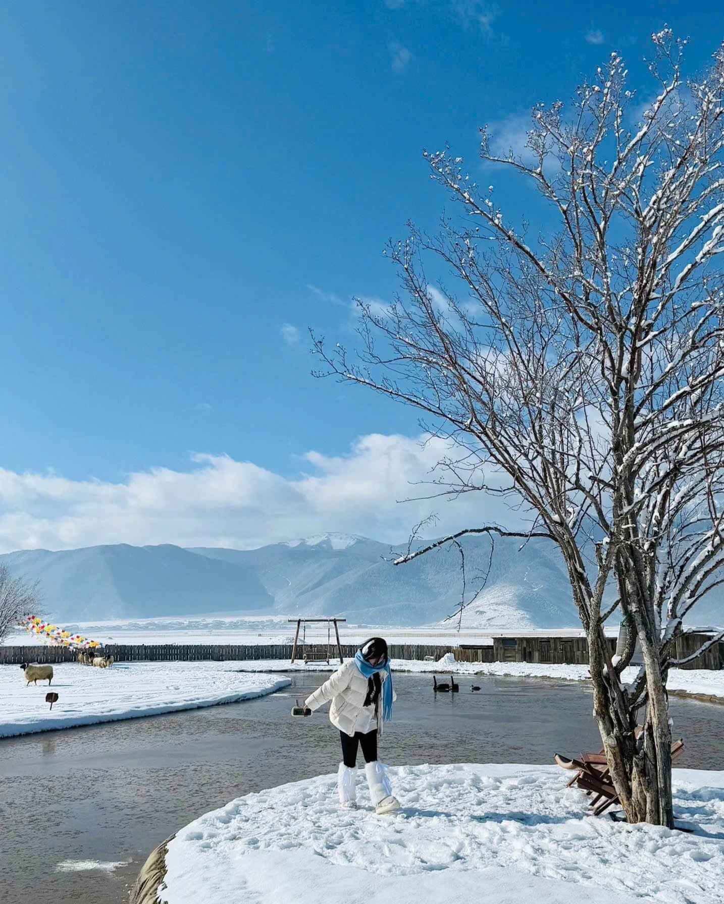 mlitravel-com-P6MB1DHuoH