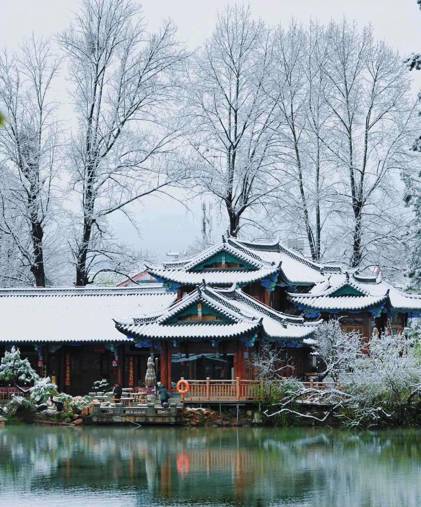 mlitravel-com-YegqiTDMG2