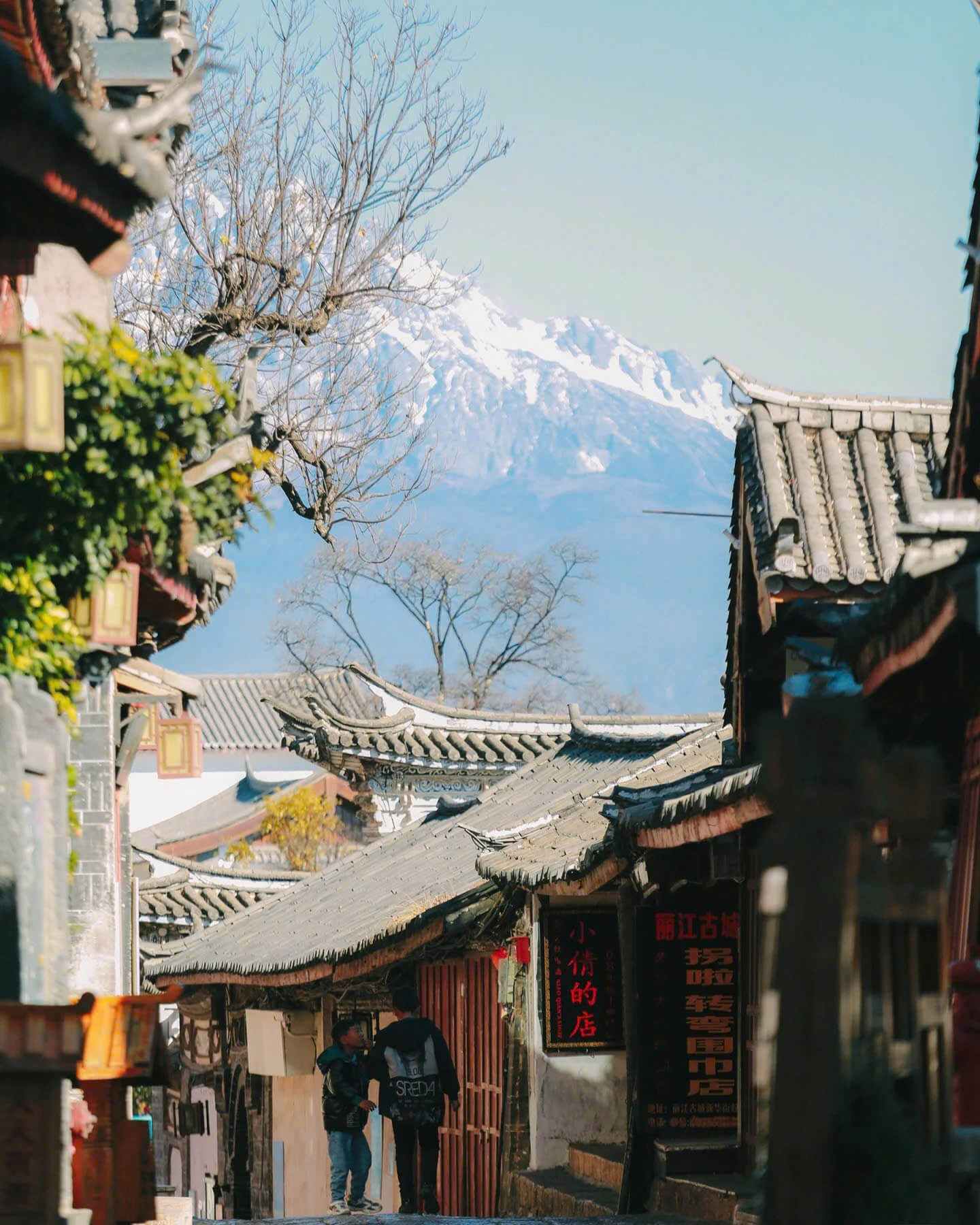 mlitravel-com-rji9eJZQte