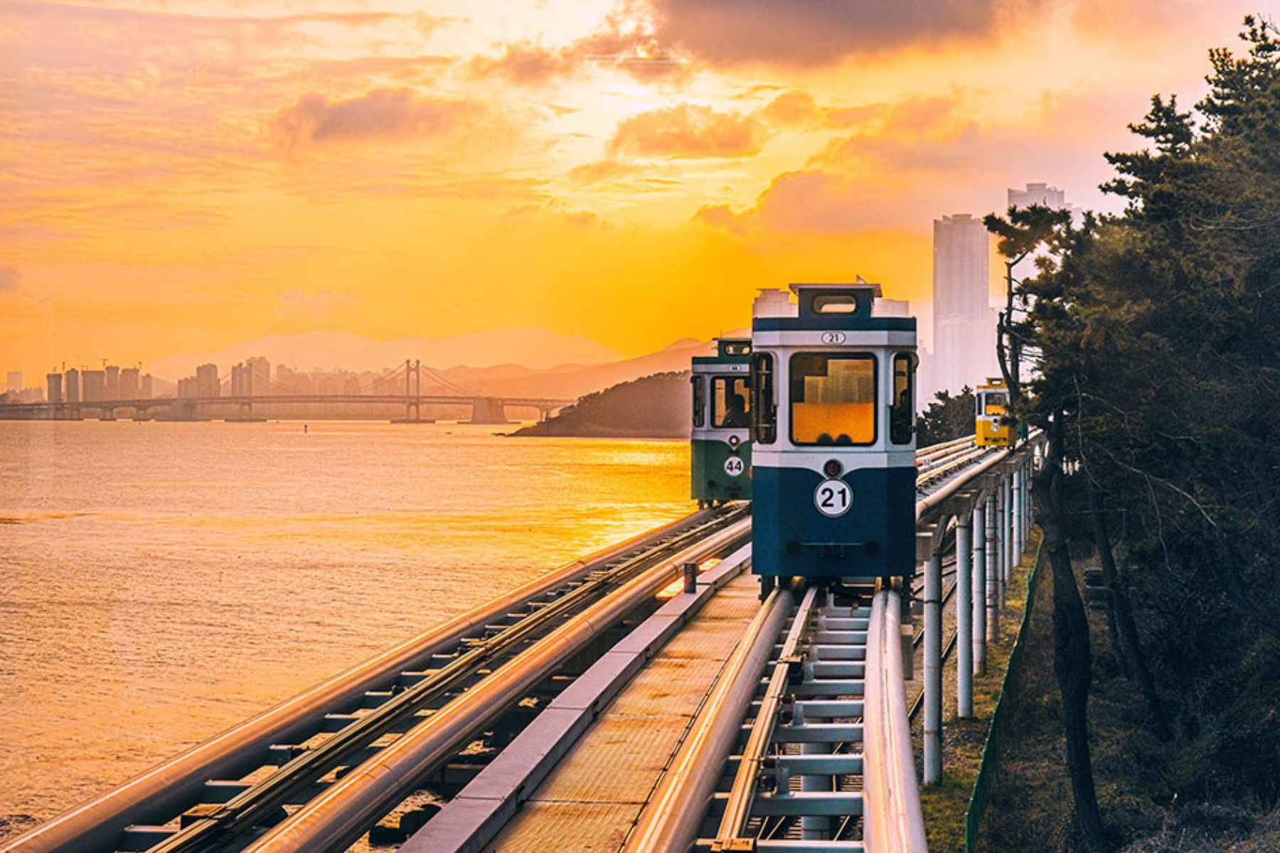 mlitravel-com-s3u3EYIuM8