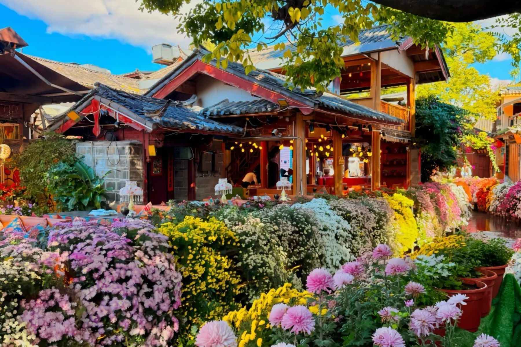 mlitravel-com-9hTjLdWDth