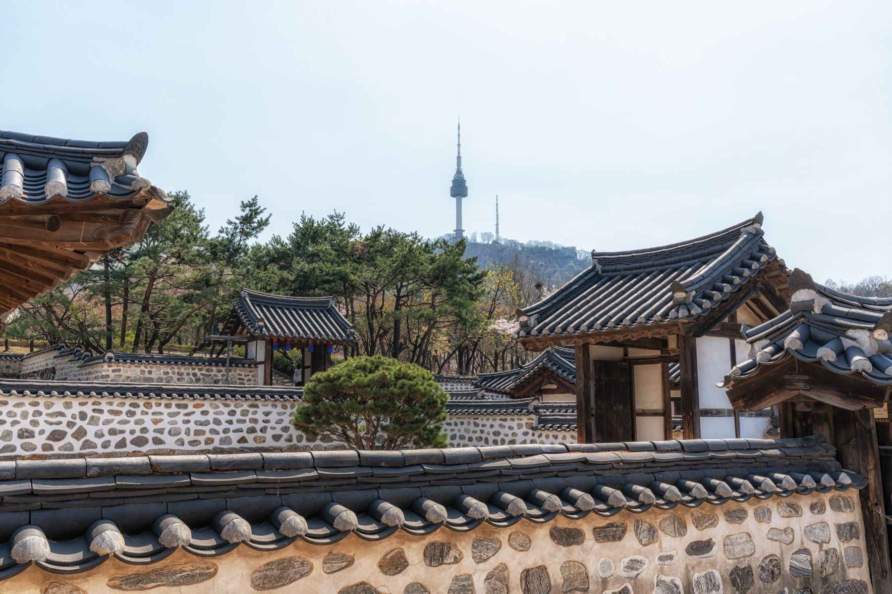 mlitravel-com-Cy9F9JgXow