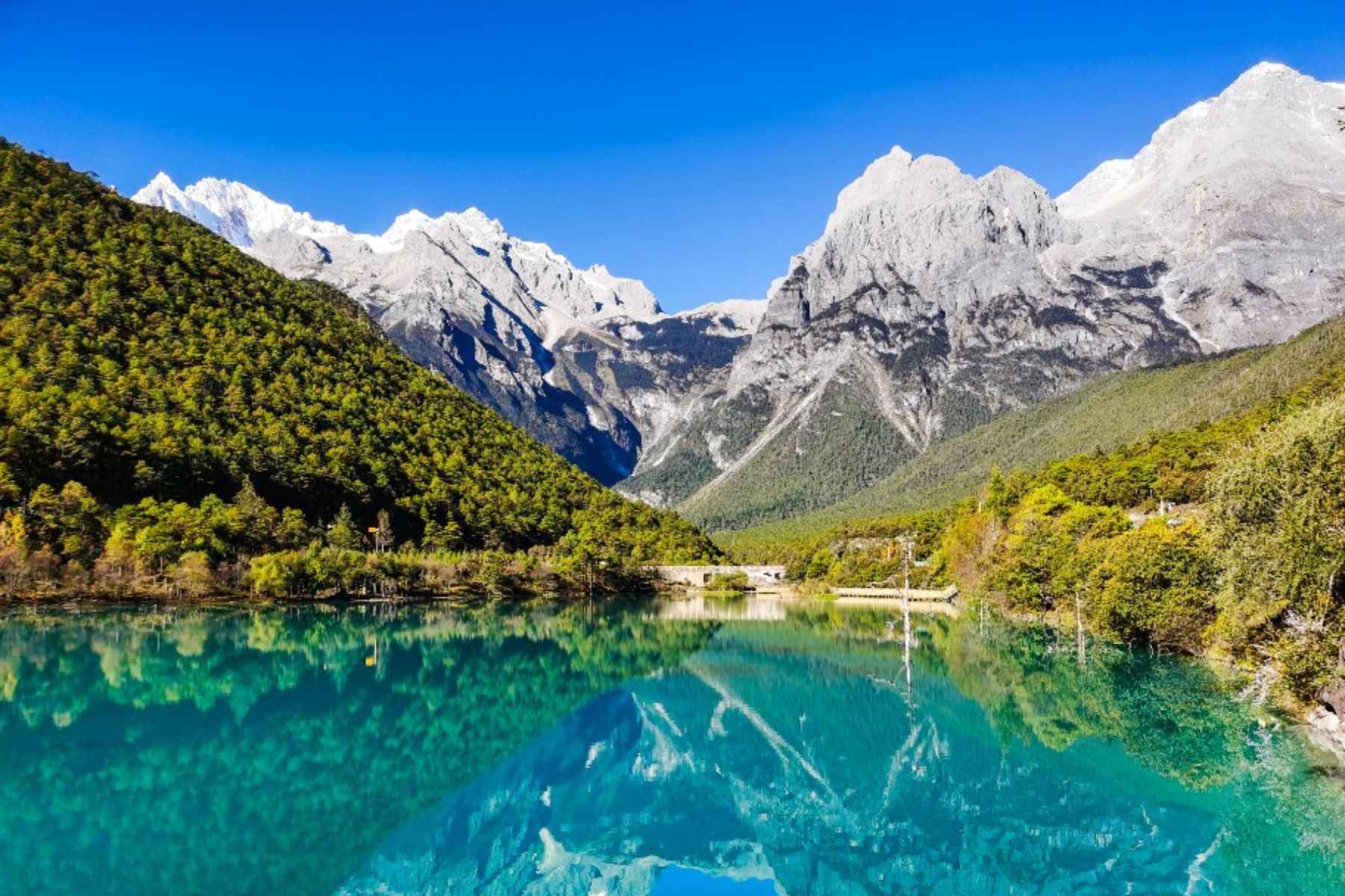 mlitravel-com-cPVrvVMlFn