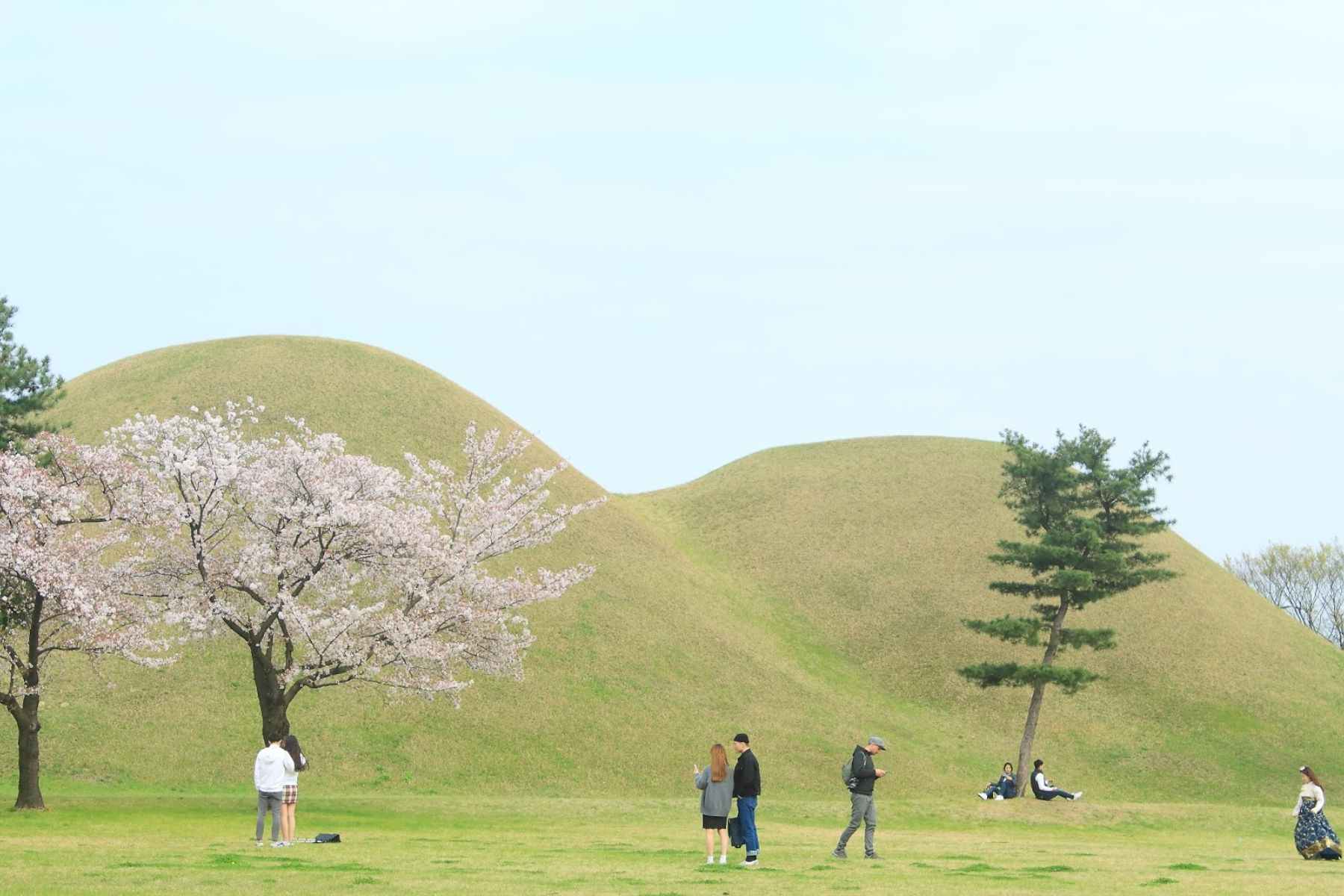 mlitravel-com-cVoGJWI6Od