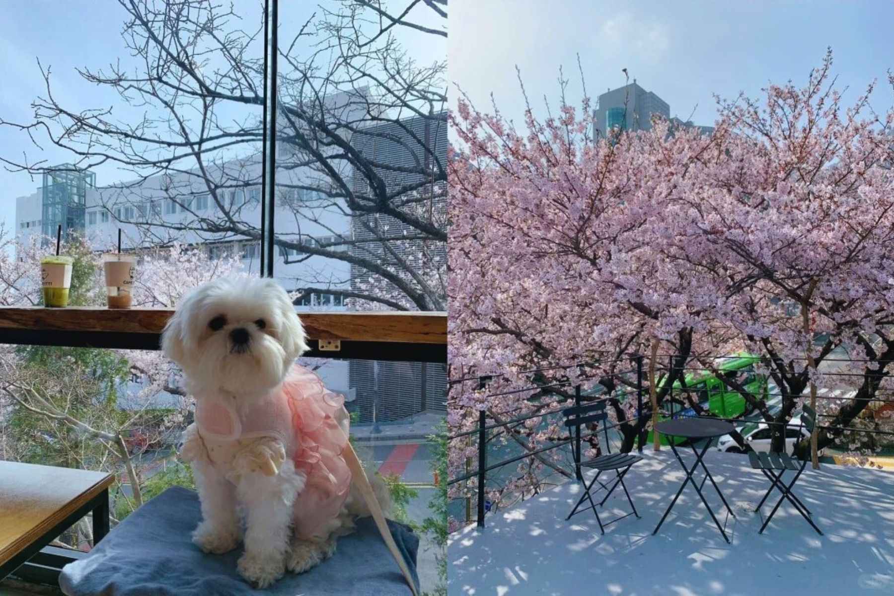 mlitravel-com-in1HL2EZxZ