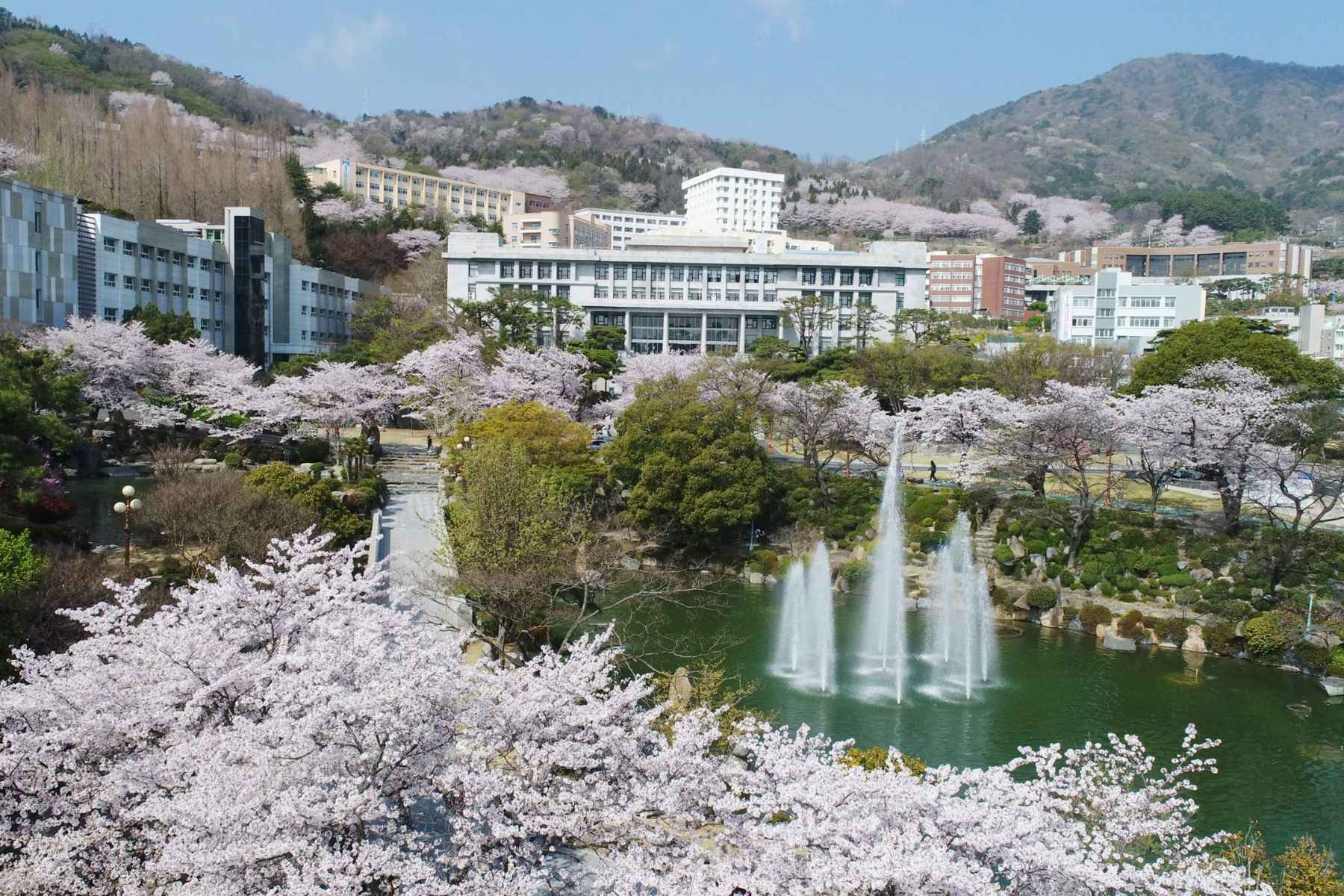 mlitravel-com-qGnybDnYV0