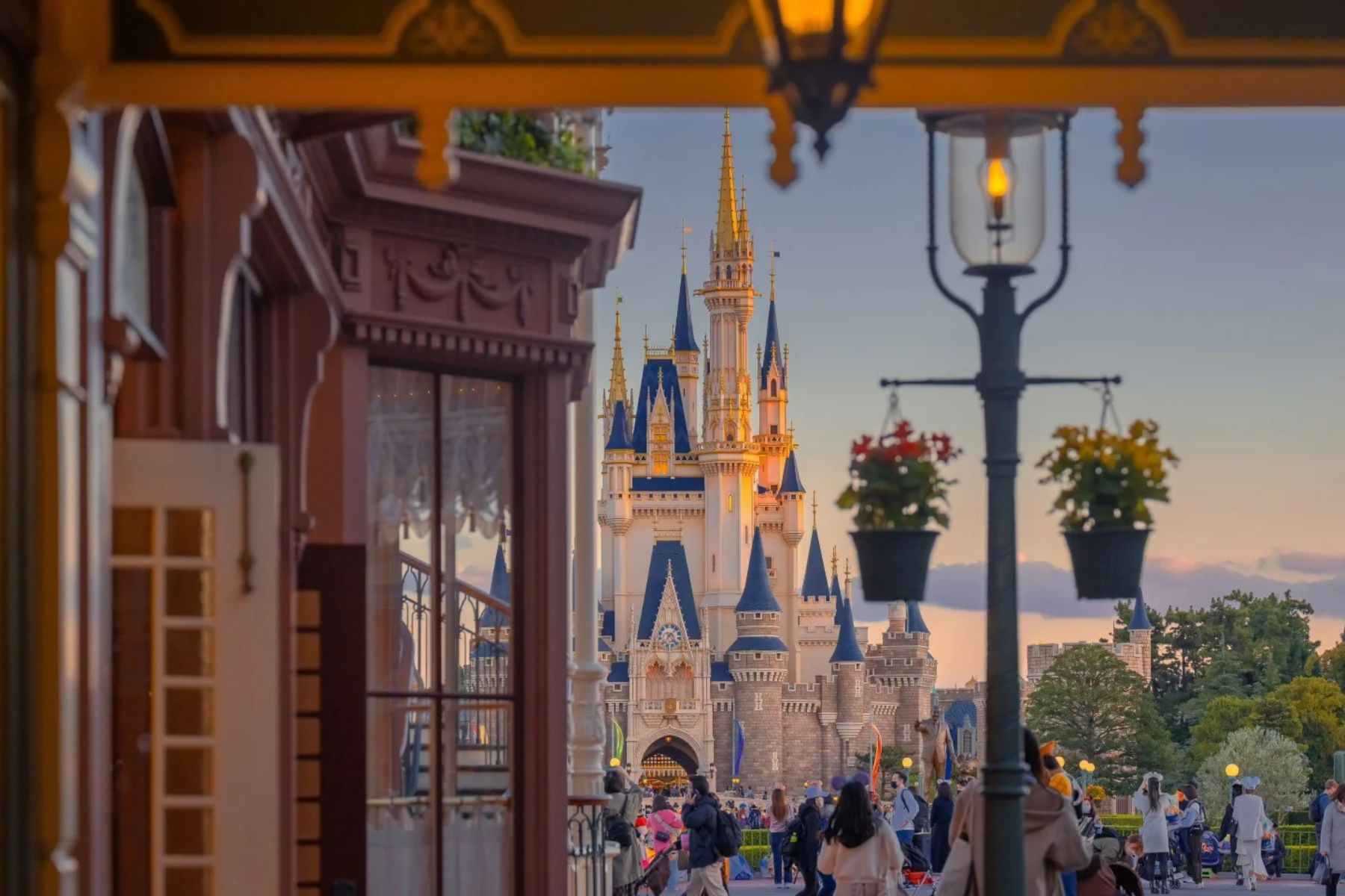 mlitravel-com-08rB9okzKM