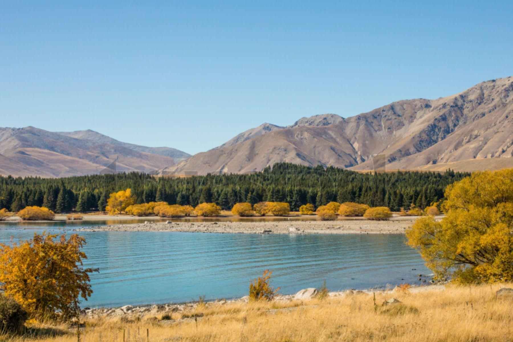 mlitravel-com-aWPkL4X9qL